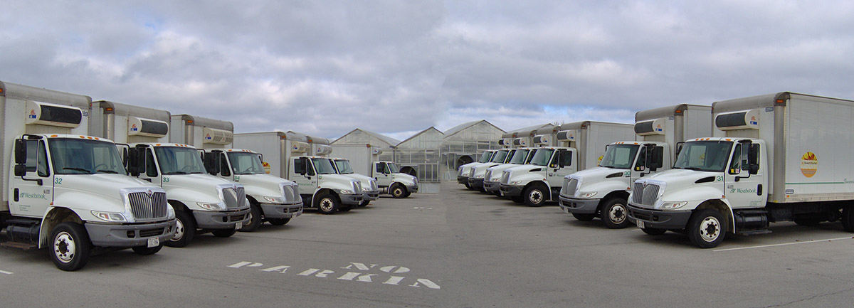 无论是车队还是单辆冷藏车，您都可以信任ATC卡车制冷系统日复一日地稳定运行。爱游戏客户端下载欢迎加入